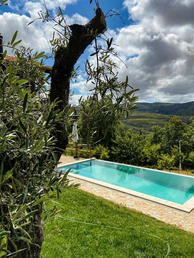 Villa Quinta Outono Dourado Montalegre Exterior foto