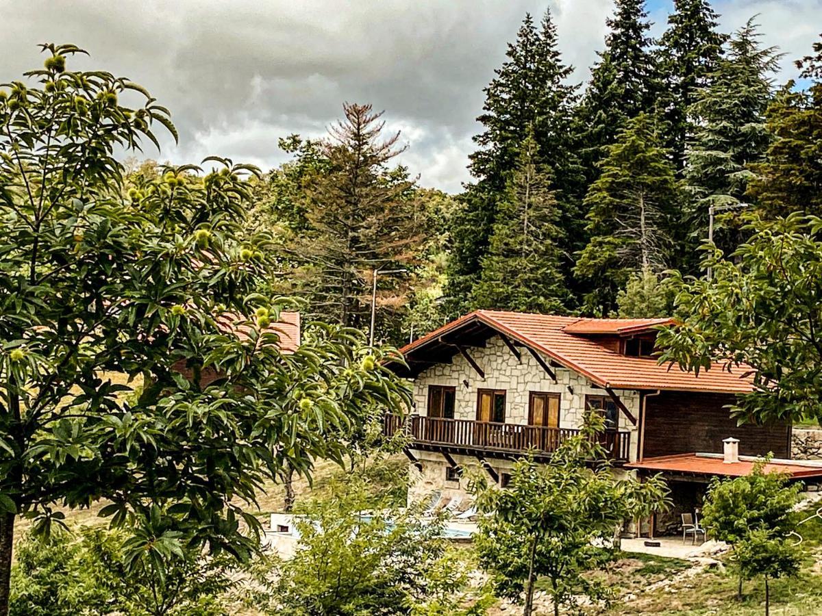 Villa Quinta Outono Dourado Montalegre Exterior foto