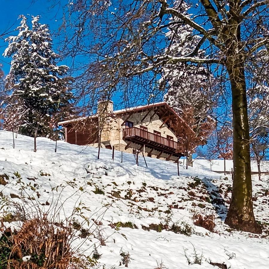 Villa Quinta Outono Dourado Montalegre Exterior foto
